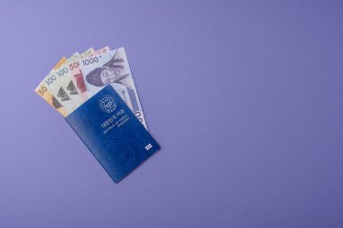 Seyahat etmek, uçmak ve iş yapmak için Kore pasaportu. Güney Kore belgesi, sınırı geçmek için kimlik