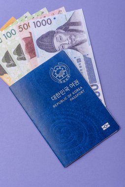 Seyahat etmek, uçmak ve iş yapmak için Kore pasaportu. Güney Kore belgesi, sınırı geçmek için kimlik
