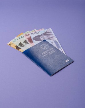 Seyahat etmek, uçmak ve iş yapmak için Kore pasaportu. Güney Kore belgesi, sınırı geçmek için kimlik