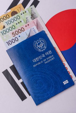 Seyahat etmek, uçmak ve iş yapmak için Kore pasaportu. Güney Kore belgesi, sınırı geçmek için kimlik