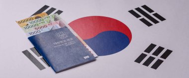 Seyahat etmek, uçmak ve iş yapmak için Kore pasaportu. Güney Kore belgesi, sınırı geçmek için kimlik