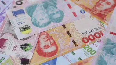 Seyahat etmek, uçmak ve iş yapmak için Arjantin pasaportu. Arjantin belgesi, sınırı geçmek için kimlik