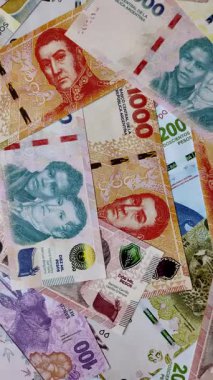 Seyahat etmek, uçmak ve iş yapmak için Arjantin pasaportu. Arjantin belgesi, sınırı geçmek için kimlik