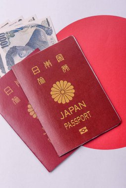 Seyahat etmek, uçmak ve iş yapmak için Japon pasaportu. Japonya belgesi, sınırı geçmek için kimlik