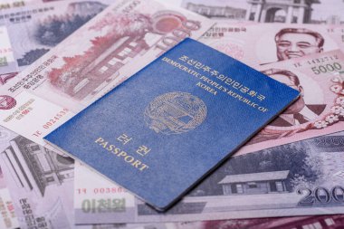 Kuzey Kore Uluslararası Küresel İş, Göç ve Seyahat Pasaportu