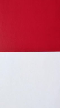 Seyahat, uçmak ve iş yapmak için Endonezya pasaportu. Endonezya belgesi, sınırı geçmek için kimlik