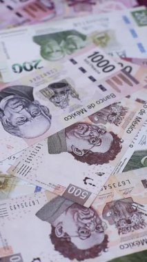 Para, Meksika parası, peso banknotlar. Meksika pezosu şeklinde kavramsal mali altyapı