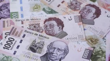 Para, Meksika parası, peso banknotlar. Meksika pezosu şeklinde kavramsal mali altyapı