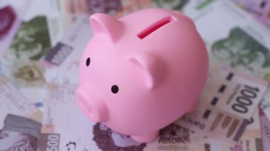 Para, Meksika parası, peso banknotlar. Meksika pezosu şeklinde kavramsal mali altyapı