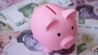 Para, Meksika parası, peso banknotlar. Meksika pezosu şeklinde kavramsal mali altyapı