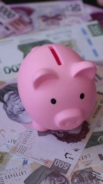 Para, Meksika parası, peso banknotlar. Meksika pezosu şeklinde kavramsal mali altyapı