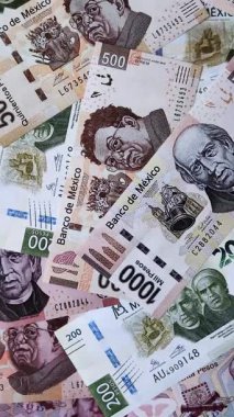 Seyahat etmek, uçmak ve iş yapmak için Meksika pasaportu. Meksika belgesi, sınırı geçmek için kimlik