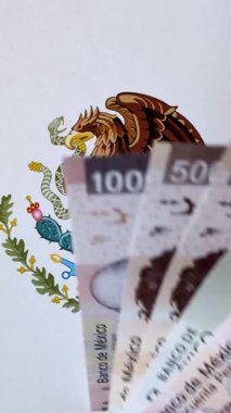 Seyahat etmek, uçmak ve iş yapmak için Meksika pasaportu. Meksika belgesi, sınırı geçmek için kimlik
