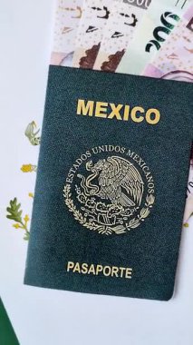 Seyahat etmek, uçmak ve iş yapmak için Meksika pasaportu. Meksika belgesi, sınırı geçmek için kimlik