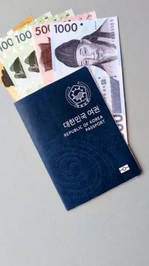 Seyahat etmek, uçmak ve iş yapmak için Kore pasaportu. Güney Kore belgesi, sınırı geçmek için kimlik