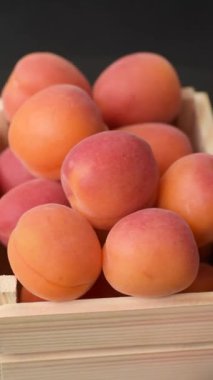 Taze olgun meyve kayısıları kırmızı sarı renktedir. Tasarımınız için arka plan olarak kayısılar