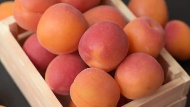 Taze olgun meyve kayısıları kırmızı sarı renktedir. Tasarımınız için arka plan olarak kayısılar