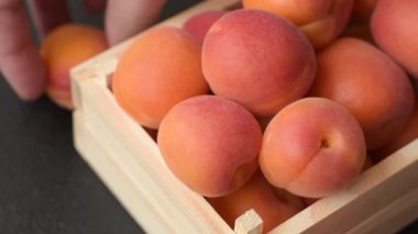 Taze olgun meyve kayısıları kırmızı sarı renktedir. Tasarımınız için arka plan olarak kayısılar