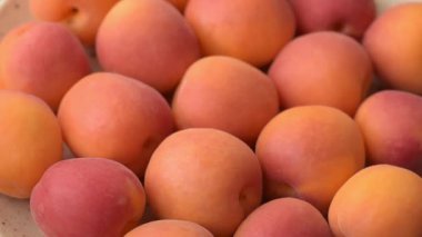 Taze olgun meyve kayısıları kırmızı sarı renktedir. Tasarımınız için arka plan olarak kayısılar