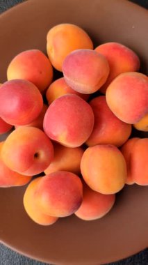 Taze olgun meyve kayısıları kırmızı sarı renktedir. Tasarımınız için arka plan olarak kayısılar