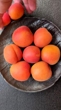 Taze olgun meyve kayısıları kırmızı sarı renktedir. Tasarımınız için arka plan olarak kayısılar