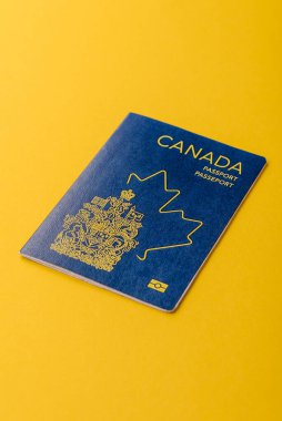 Seyahat etmek, uçmak ve iş yapmak için Kanada pasaportu. Kanada belgesi, sınırı geçmek için kimlik