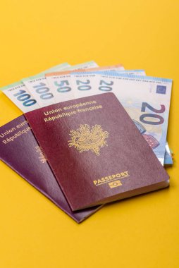 Seyahat etmek, uçmak ve iş yapmak için Fransız pasaportu. Fransa belgesi, sınırı geçmek için kimlik