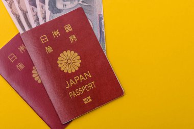 Seyahat etmek, uçmak ve iş yapmak için Japon pasaportu. Japonya belgesi, sınırı geçmek için kimlik