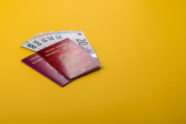 Seyahat, uçmak ve iş yapmak için İtalya pasaportu. İtalyanca belge, sınırı geçmek için kimlik