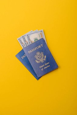 Seyahat, uçmak ve iş yapmak için ABD pasaportu. ABD belgesi, sınırı geçmek için kimlik