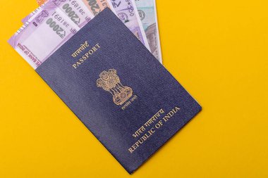 Seyahat etmek, uçmak ve iş yapmak için Hindistan pasaportu. Hindistan belgesi, sınırı geçmek için kimlik