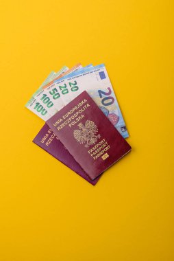 Polonya pasaportu seyahat, uçmak ve iş yapmak için. Polonya belgesi, sınırı geçmek için kimlik