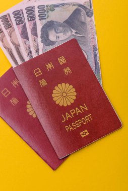 Seyahat etmek, uçmak ve iş yapmak için Japon pasaportu. Japonya belgesi, sınırı geçmek için kimlik