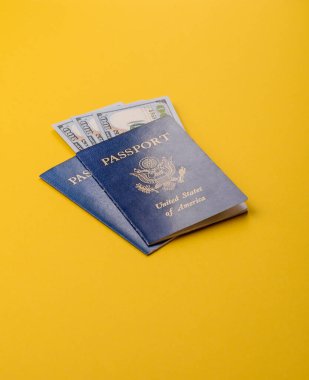 Seyahat, uçmak ve iş yapmak için ABD pasaportu. ABD belgesi, sınırı geçmek için kimlik