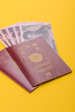Seyahat etmek, uçmak ve iş yapmak için Japon pasaportu. Japonya belgesi, sınırı geçmek için kimlik