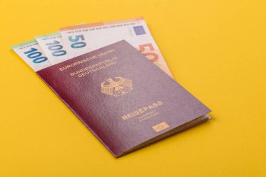 Alman pasaportu, Alman seyahat belgesi, sınır kapısı, iş amaçlı.