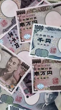 Seyahat etmek, uçmak ve iş yapmak için Japon pasaportu. Japonya belgesi, sınırı geçmek için kimlik