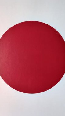 Seyahat etmek, uçmak ve iş yapmak için Japon pasaportu. Japonya belgesi, sınırı geçmek için kimlik