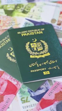 Küresel iş, göç ve seyahat için Pakistan Uluslararası Vatandaş Pasaportu