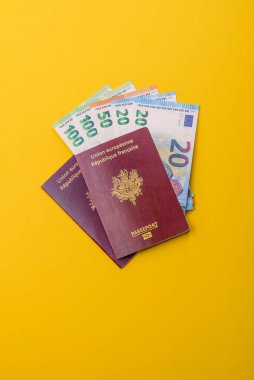 Seyahat etmek, uçmak ve iş yapmak için Fransız pasaportu. Fransa belgesi, sınırı geçmek için kimlik