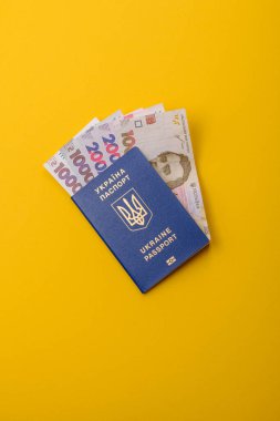 Seyahat, uçma ve iş yapmak için Ukrayna pasaportu. Ukrayna belgesi, sınırı geçmek için kimlik