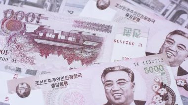 Kuzey Kore Uluslararası Küresel İş, Göç ve Seyahat Pasaportu