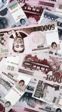 Kuzey Kore Uluslararası Küresel İş, Göç ve Seyahat Pasaportu