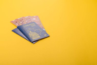 Seyahat etmek, uçmak ve iş yapmak için Kanada pasaportu. Kanada belgesi, sınırı geçmek için kimlik