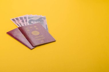 Seyahat etmek, uçmak ve iş yapmak için Japon pasaportu. Japonya belgesi, sınırı geçmek için kimlik