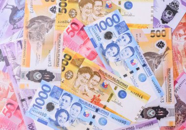 Filipinler parası, peso, kağıt banknotlar, nakit. Filipinler 'de iş yapmak, seyahat etmek için para
