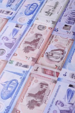 BAE parası, dirhem, kağıt banknot, nakit. İş yapmak, seyahat etmek için Emirlikler