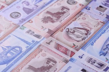 BAE parası, dirhem, kağıt banknot, nakit. İş yapmak, seyahat etmek için Emirlikler