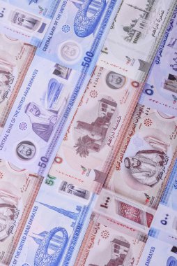 BAE parası, dirhem, kağıt banknot, nakit. İş yapmak, seyahat etmek için Emirlikler