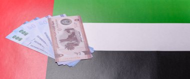 BAE parası, dirhem, kağıt banknot, nakit. İş yapmak, seyahat etmek için Emirlikler